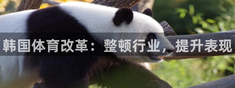 星欧娱乐扣款6II2是什么情况