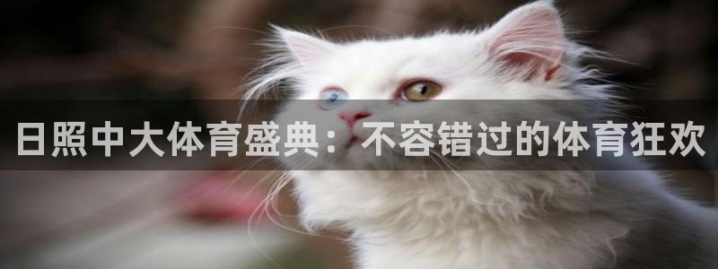 星欧娱乐热最建议去的三个地方