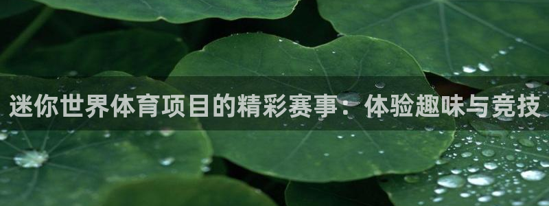 星欧娱乐