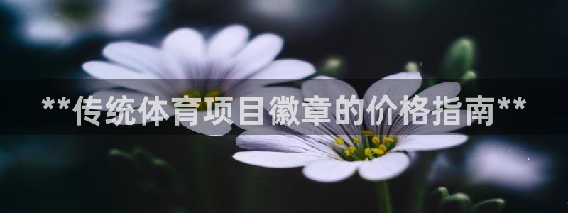 星澳娱乐公司地址
