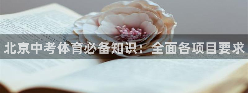 星欧娱乐挂机教程