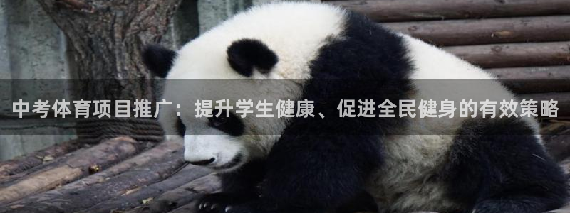 星娱乐文化传媒