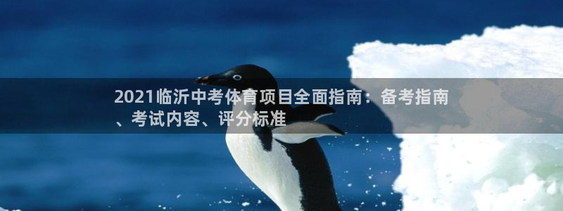 星娱乐文化传媒有限公司