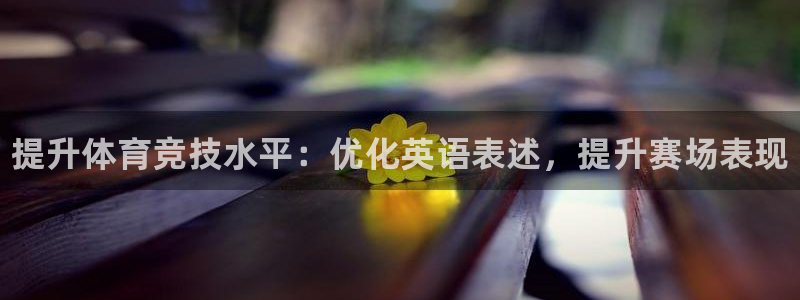 星欧娱乐属于什么档次的软件公司