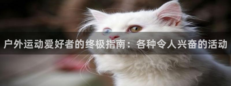 星游娱乐1官网下载