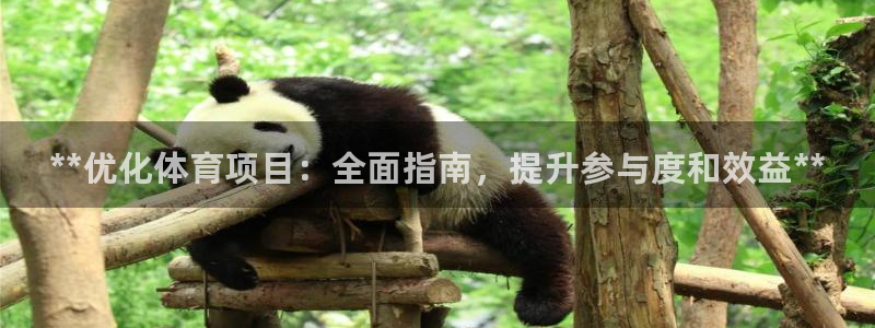 星游娱乐下载地址