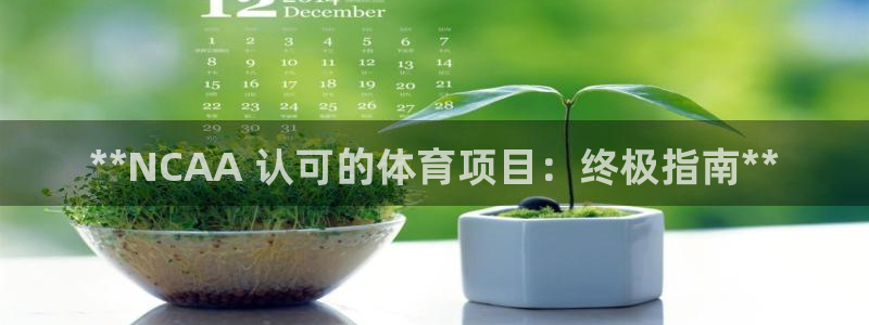 星欧娱乐最建议买的三个产品有哪些内容