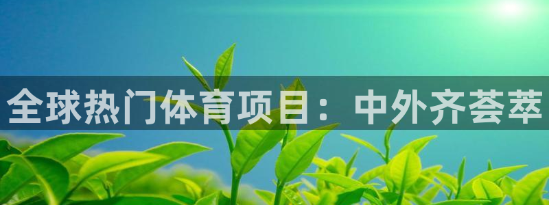 星欧娱乐公司创始人背景故事