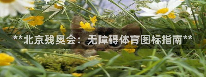 星欧娱乐是正规平台吗安全吗知乎