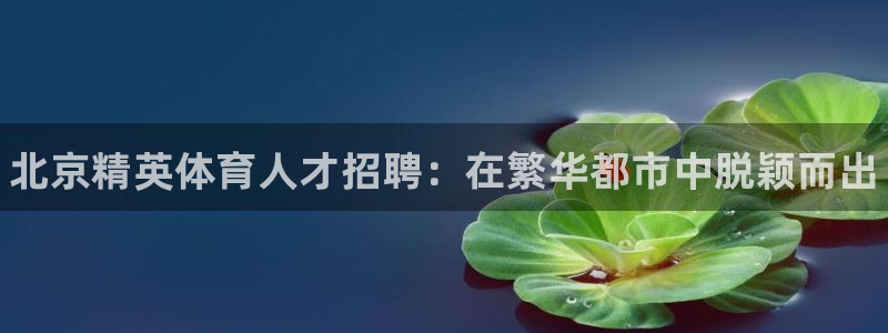 星娱乐文化传媒