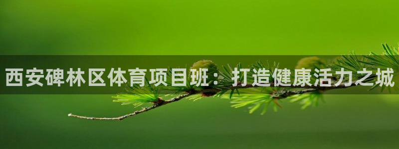 星欧娱乐官方客服联系方式是什么