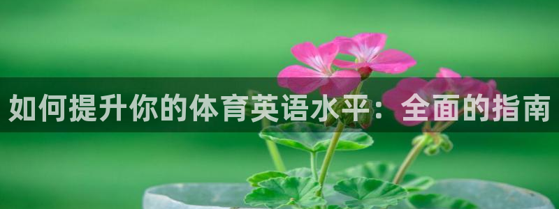 星奥娱乐集团股份有限公司怎么样