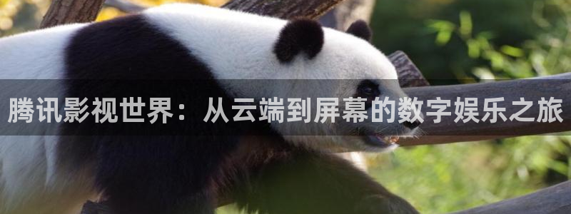 羞羞影视：腾讯影视世界：从云端到屏幕的数字娱乐之旅