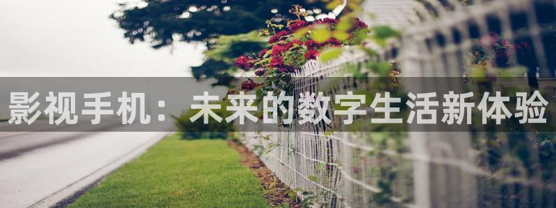 羞羞影院在线免费观看视频：影视手机：未来的数字生活新体验