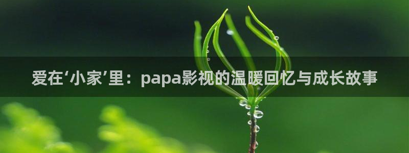 羞羞影院深夜影院：爱在‘小家’里：papa影视的温暖回忆与成长故事
