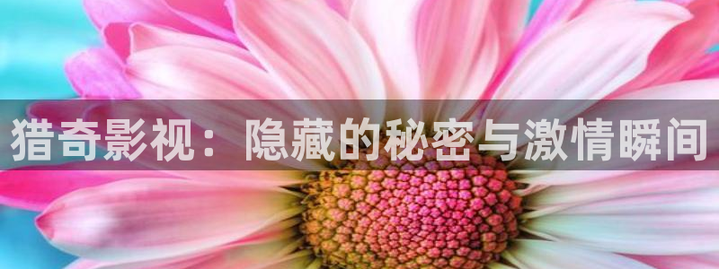 羞羞影院欧美：猎奇影视：隐藏的秘密与激情瞬间