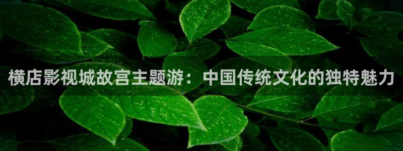 羞羞影院免费视频：横店影视城故宫主题游：中国传统文化的独特魅力
