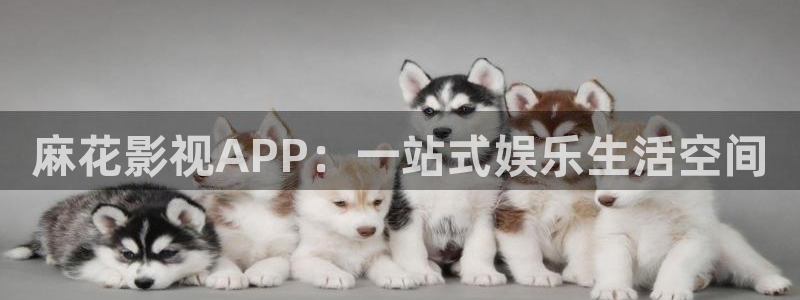 亚洲羞羞影院：麻花影视APP：一站式娱乐生活空间