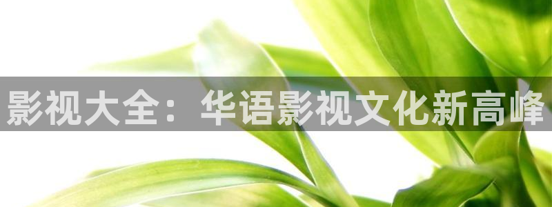 羞羞影院啵啵影院：影视大全：华语影视文化新高峰